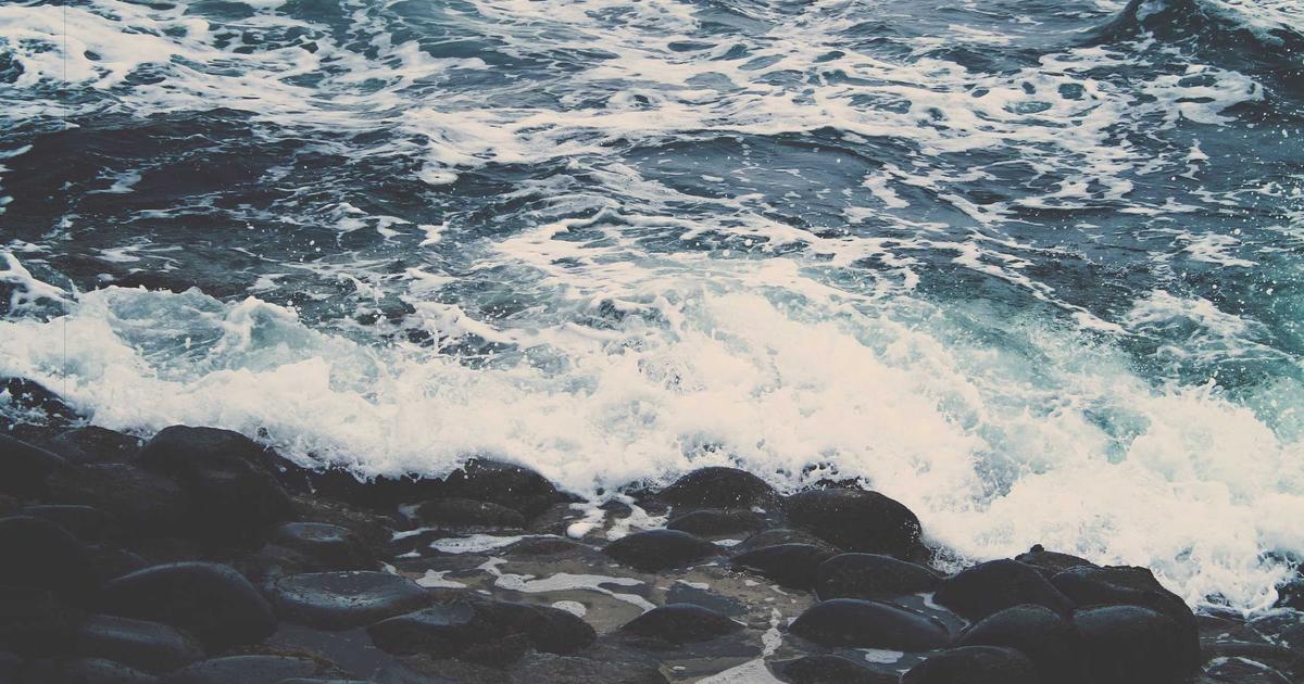 Comment utiliser ChatGPT : guide complet pour débutants