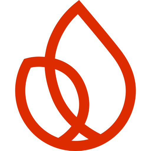 Logo Firebase Studio